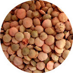 Lentils, Red<br> 1 lb.