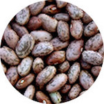 Pinto Bean, Organic<br> 1 lb.