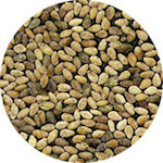 Sesame, Whole Tan