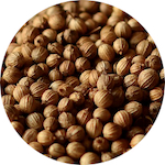 Coriander Seed<br> Essential Oil 1/2 oz.
