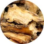 Angelica Root<br> Essential Oil 1/8 oz.