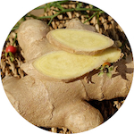 Ginger, Fresh<br> Essential Oil 1/4 oz.