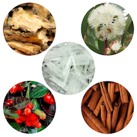 Muscles & Joints Blend<br> Essential Oil 1/2 oz.