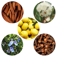 Protection Blend<br> Essential Oil 1/2 oz.