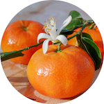 Tangerine<br> Essential Oil 1/2 oz.